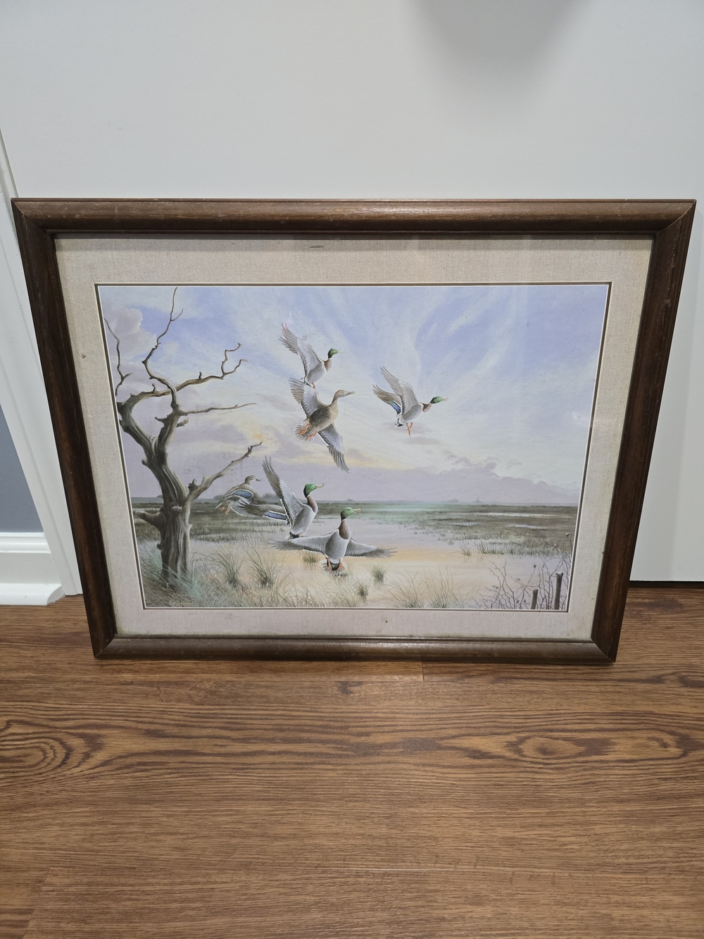 Mallard Duck Coastal Print in Brown Frame